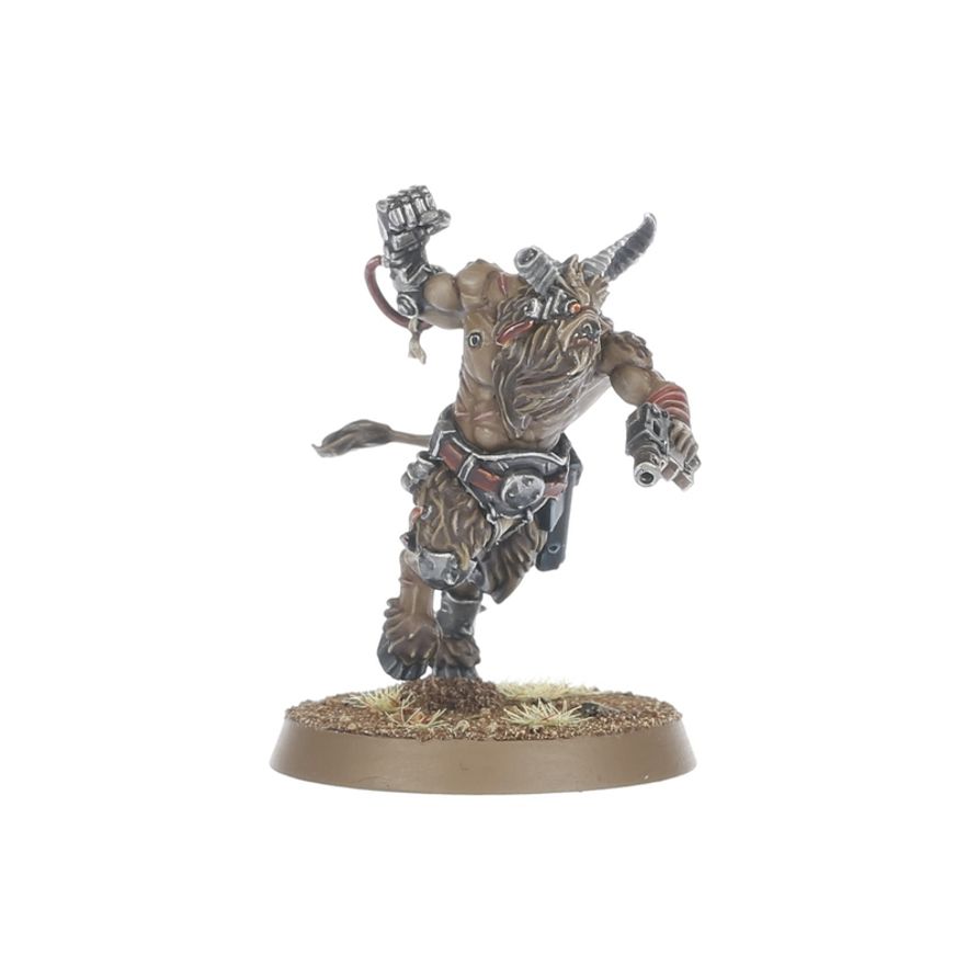 Warhammer 40k: Fellgor Beastmen | Odin's Place
