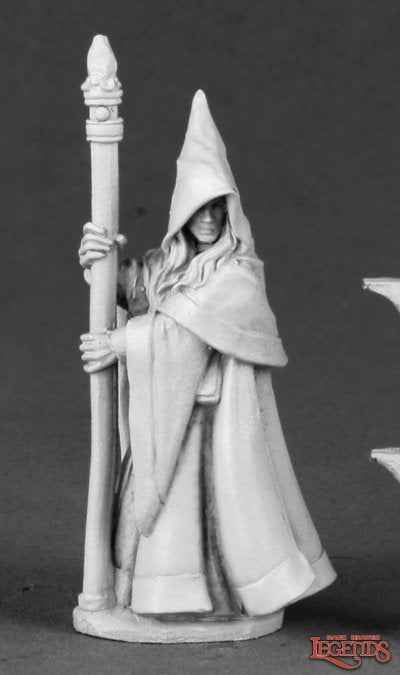 Reaper: Anirion, Wood Elf Wizard | Odin's Place
