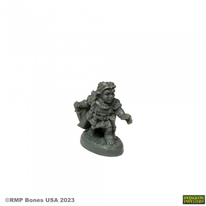 Reaper Dungeon Dwellers: Molly Copperpot, Thief | Odin's Place