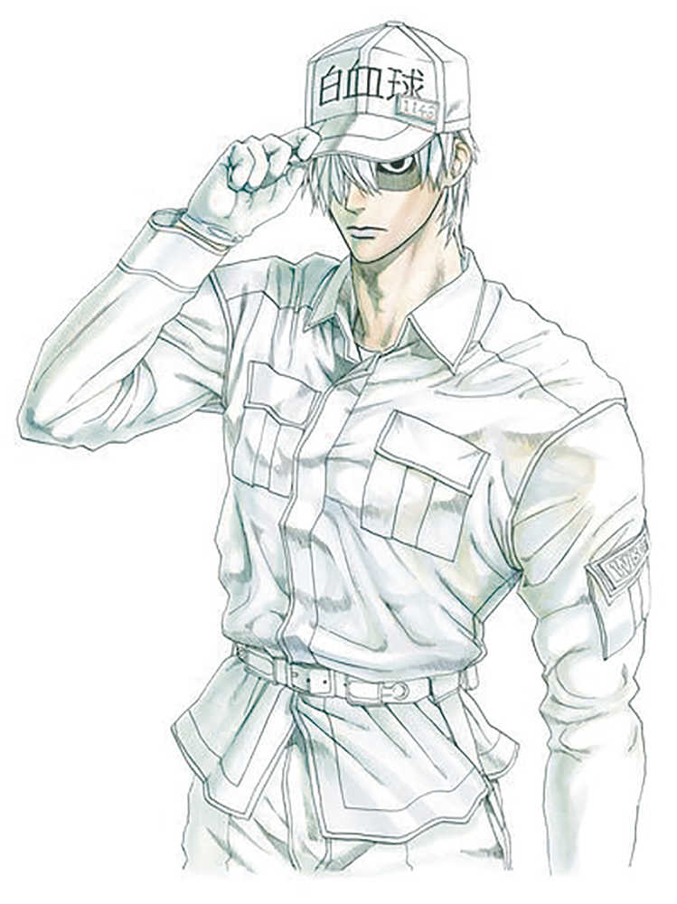 Cells At Work Volume 06 | Odin's Place