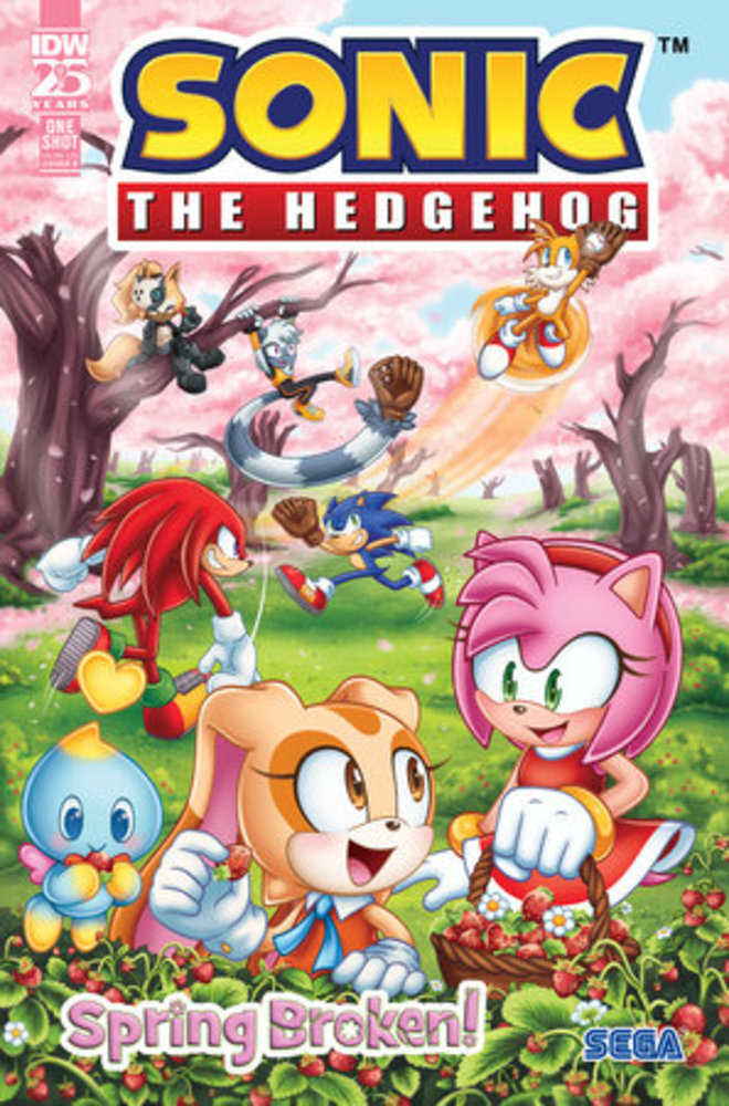 Sonic The Hedgehog Spring Broken #1 Cover B Starling | Odin's Place