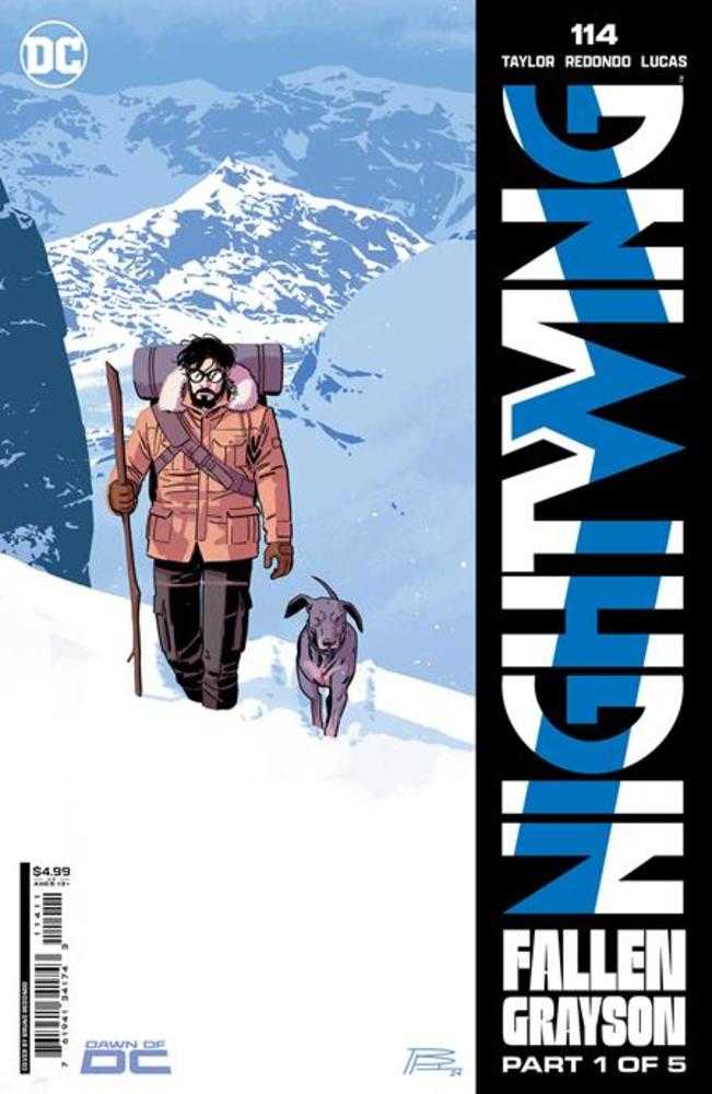 Nightwing #114 Cover A Bruno Redondo | Odin's Place