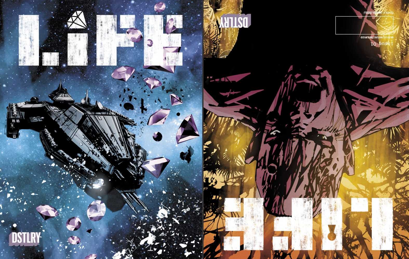 Life #1 Cover A Zezelj (Mature) | Odin's Place