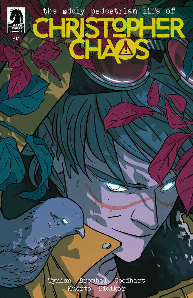Oddly Pedestrian Life Christopher Chaos #12 Cover B Biondi | Odin's Place