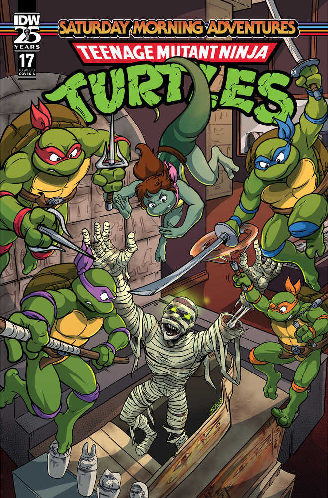 Teenage Mutant Ninja Turtles: Saturday Morning Adventures #17 Cover A (Myer) | Odin's Place