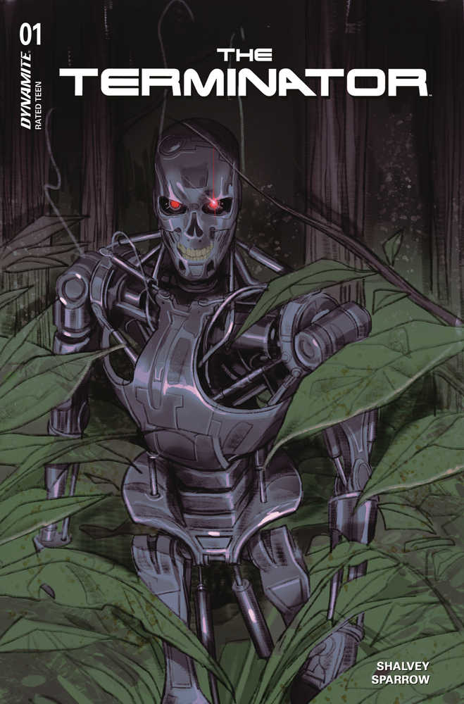 Terminator #1 Cover C Sway | Odin's Place
