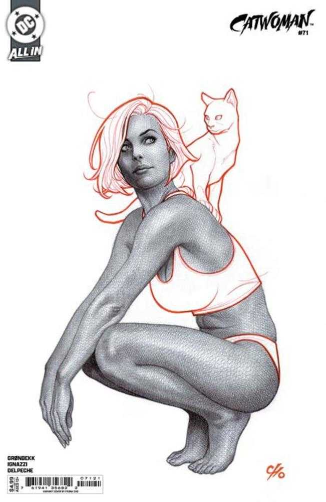Catwoman #71 Cover B Frank Cho Card Stock Variant | Odin's Place