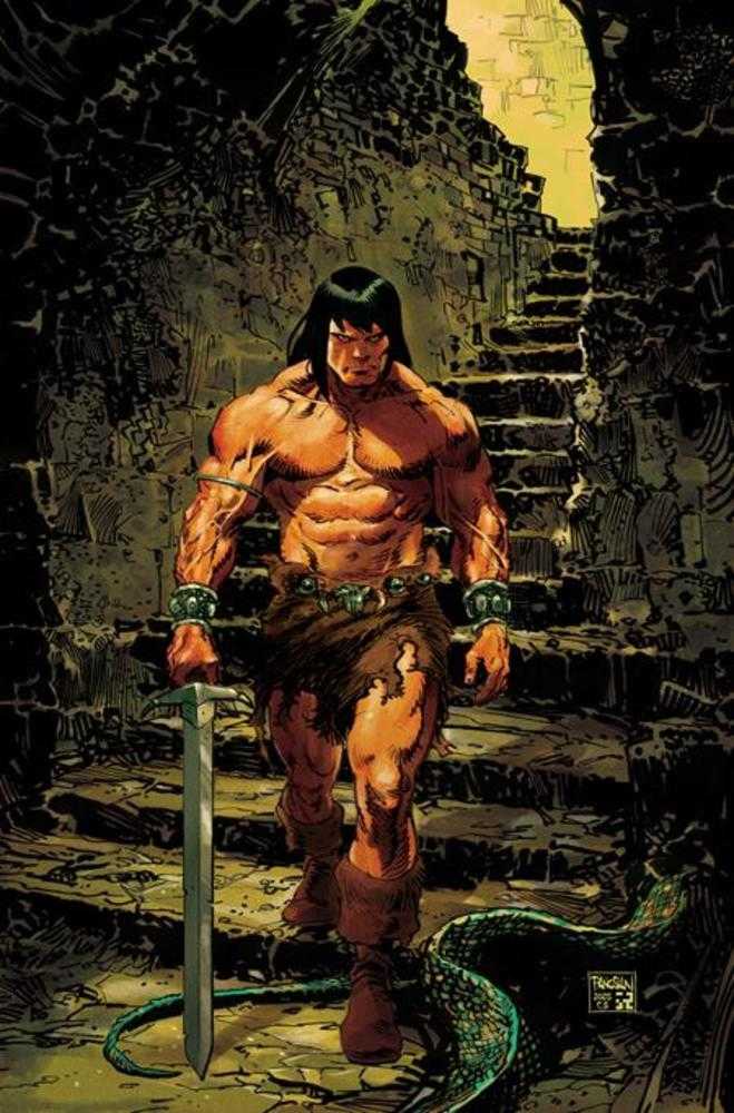 Conan The Barbarian #24 Cover E Dan Panosian Full Art Variant (Mature) | Odin's Place