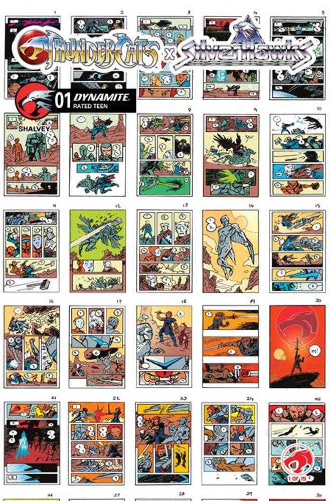 Thundercats X Silverhawks #1 Cover I 1 in 10 Declan Shalvey Layouts Variant | Odin's Place
