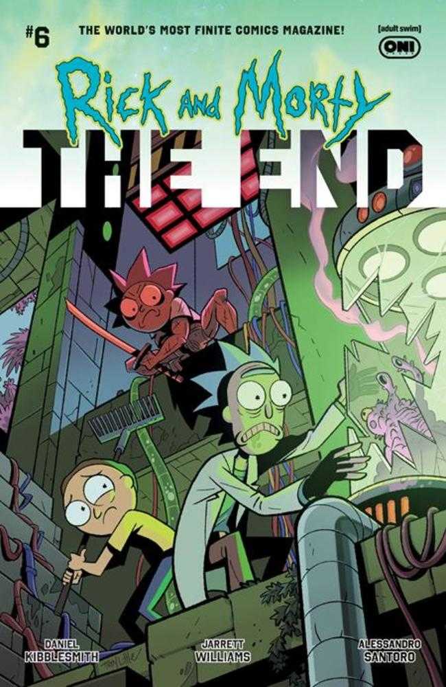 Rick And Morty The End #6 (Of 6) Cover B Troy Little Variant | Odin's Place