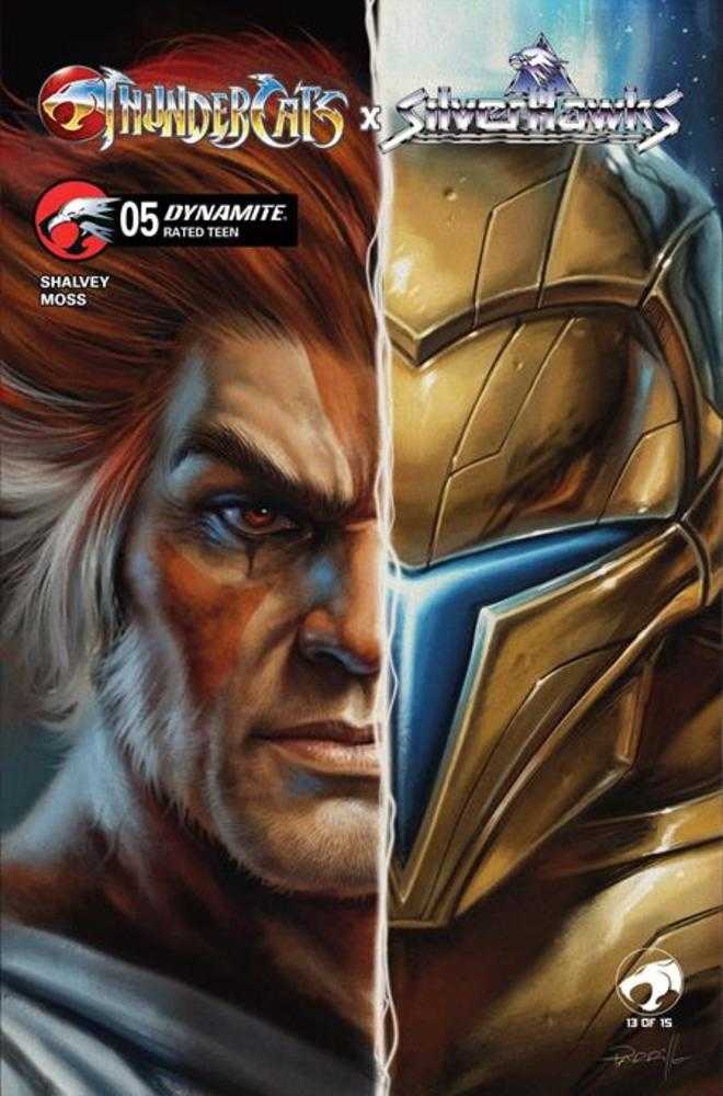Thundercats X Silverhawks #5 Cover B Lucio Parrillo Variant | Odin's Place