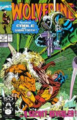 Wolverine #41 (1991) | Odin's Place