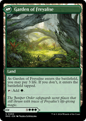 Disciple of Freyalise [Modern Horizons 3] | Odin's Place