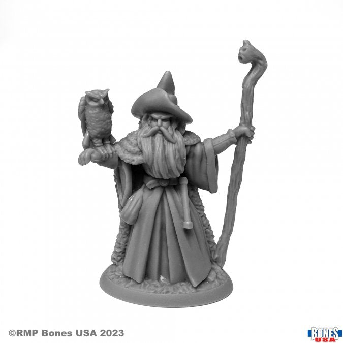 Reaper Bones: Amathor the Arch-Mage | Odin's Place