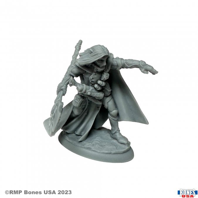 Reaper Legends: Elquin the Daring | Odin's Place