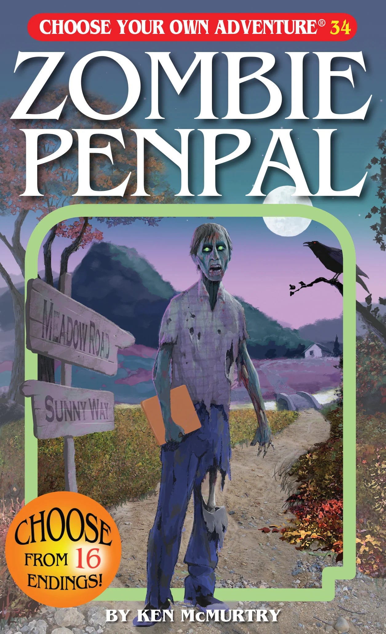 CYOA: Zombie Penpal | Odin's Place