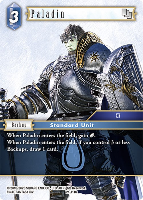 Paladin [Beyond Destiny] | Odin's Place