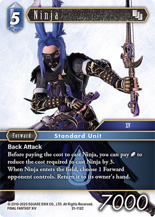 Ninja [Beyond Destiny] | Odin's Place