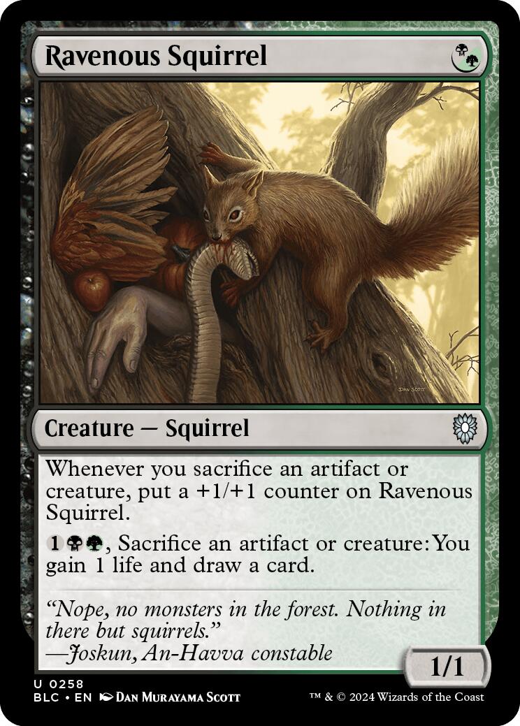 Ravenous Squirrel [Bloomburrow Commander] | Odin's Place