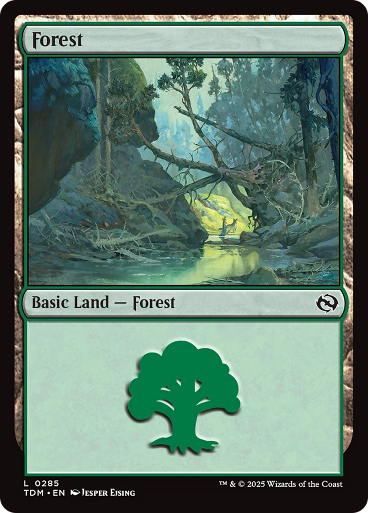 Forest (0285) [Tarkir: Dragonstorm] | Odin's Place