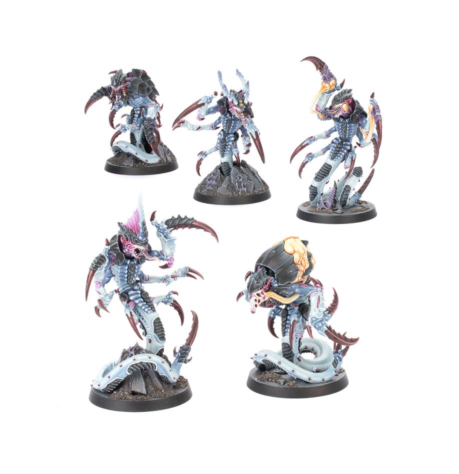 Warhammer Killteam: Typhon | Odin's Place