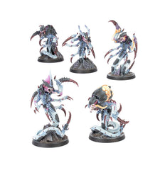 Warhammer Killteam: Typhon | Odin's Place