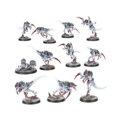 Warhammer Killteam: Typhon | Odin's Place