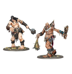 Warhammer Age Of Sigmar: Brawlers of Behemat | Odin's Place