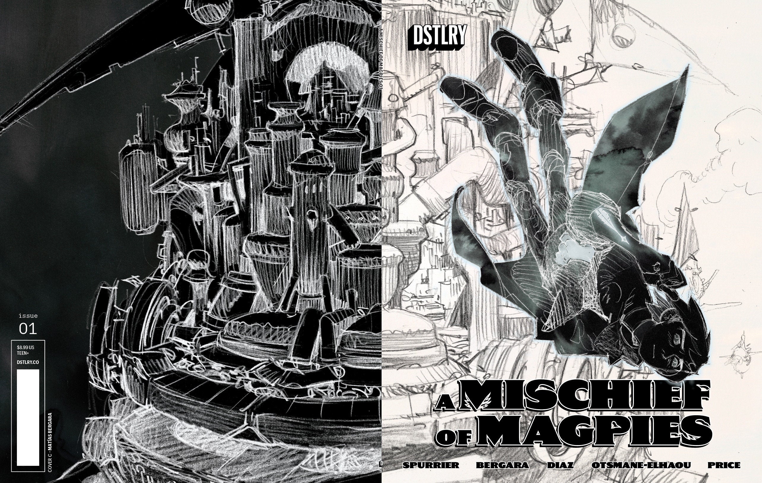 A Mischief Of Magpies #1 Cover C Matias Bergara 10 Copy Variant | Odin's Place