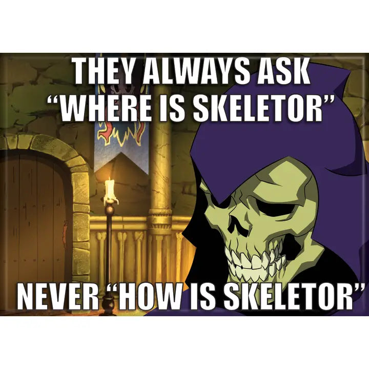 Masters of the Universe Never "How Is Skeletor Magnet | Odin's Place