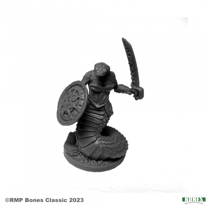 Reaper Bones Dark Heaven: Nagendra Shieldmaiden | Odin's Place