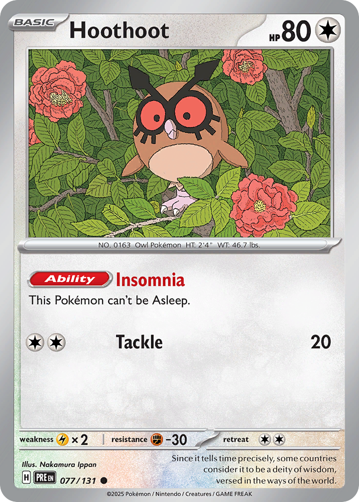 Hoothoot (114/142) [Scarlet & Violet: Stellar Crown] | Odin's Place
