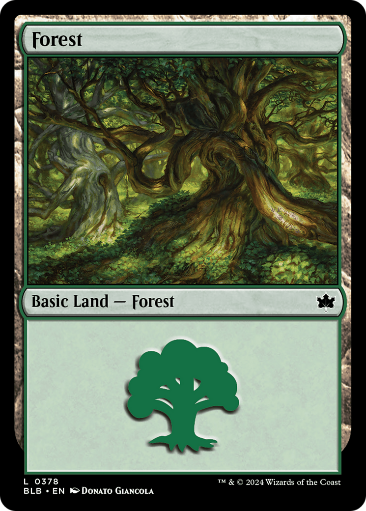 Forest (0378) [Bloomburrow] | Odin's Place