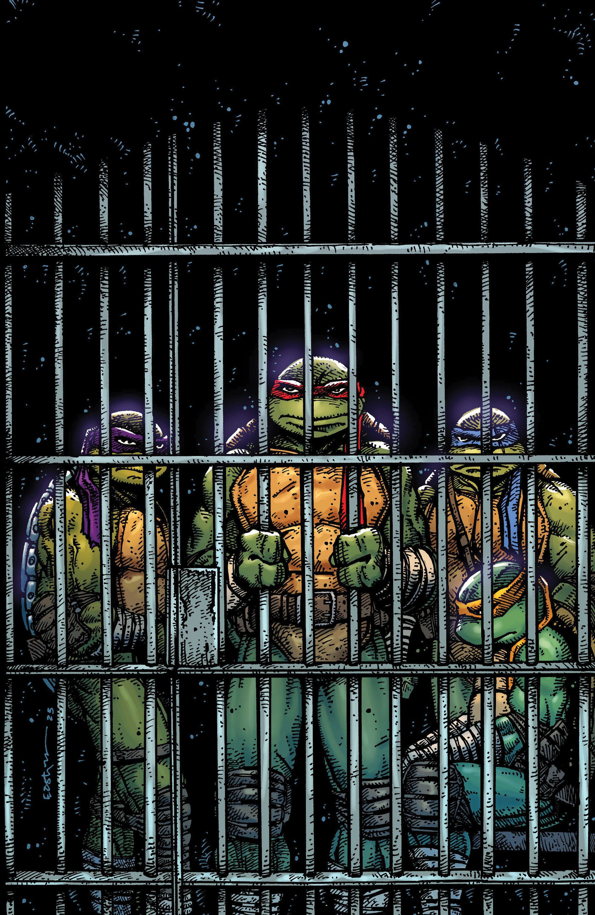 Teenage Mutant Ninja Turtles #11 Variant Ri (10) (Eastman Full Art) | Odin's Place