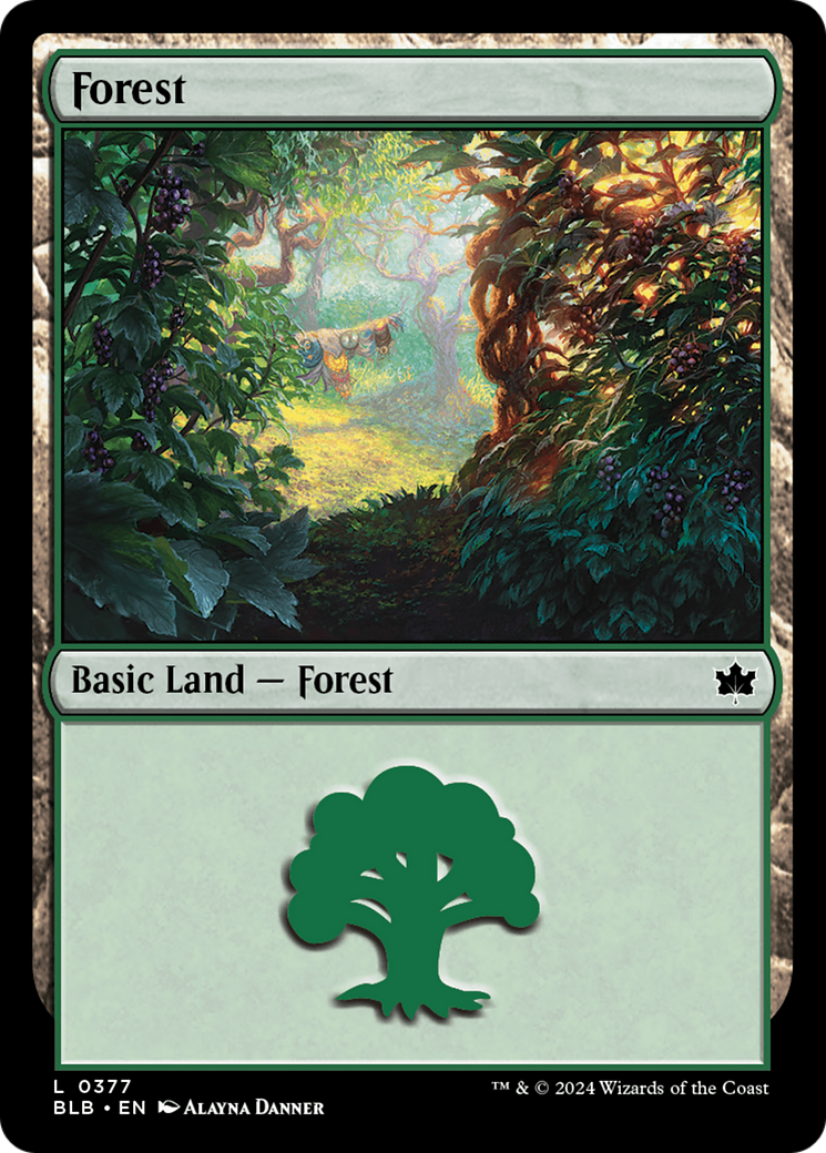 Forest (0377) [Bloomburrow] | Odin's Place