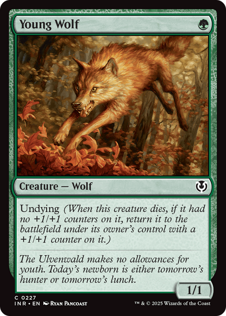 Young Wolf [Innistrad Remastered] | Odin's Place