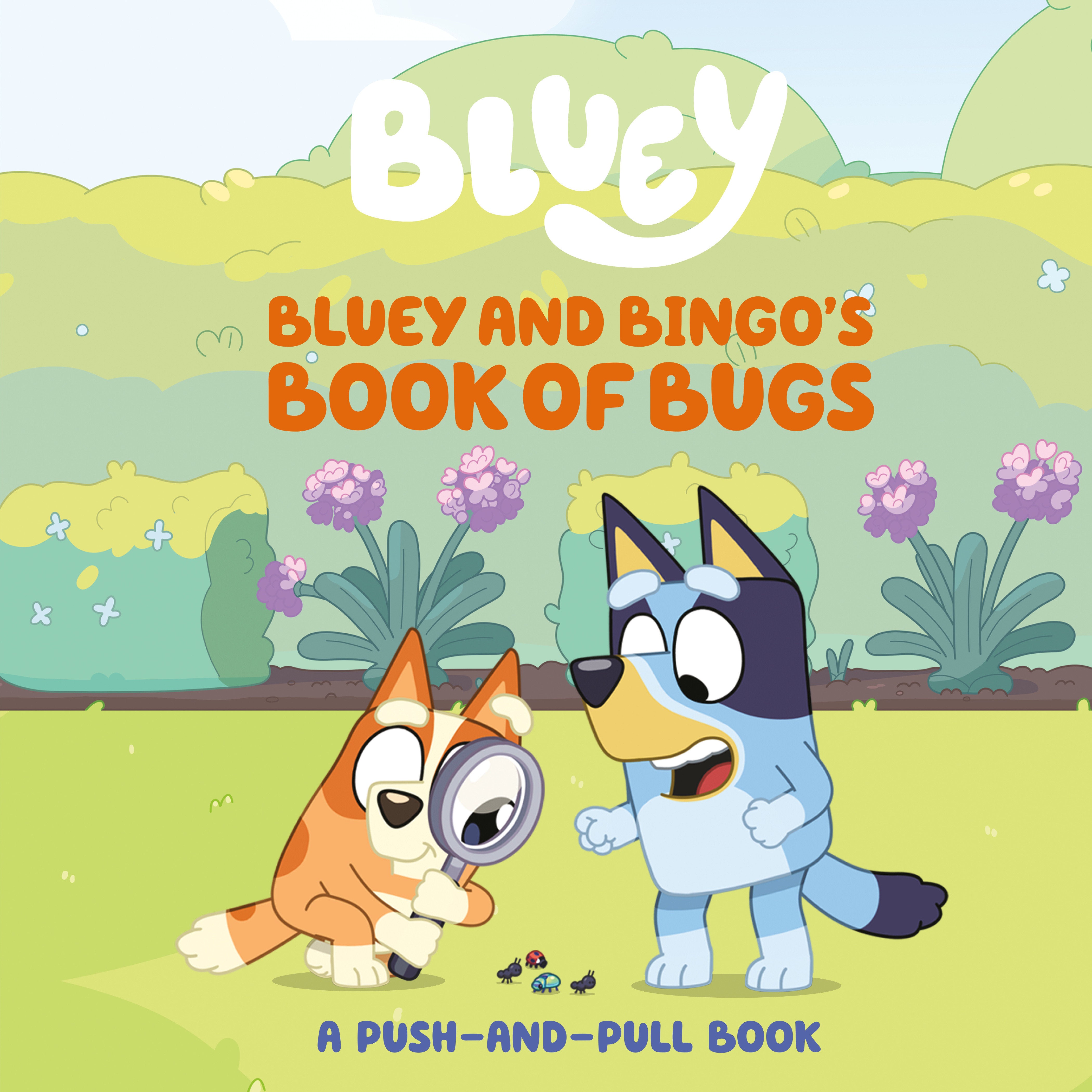 Bluey And Bingo'S Book Of Bugs | Odin's Place