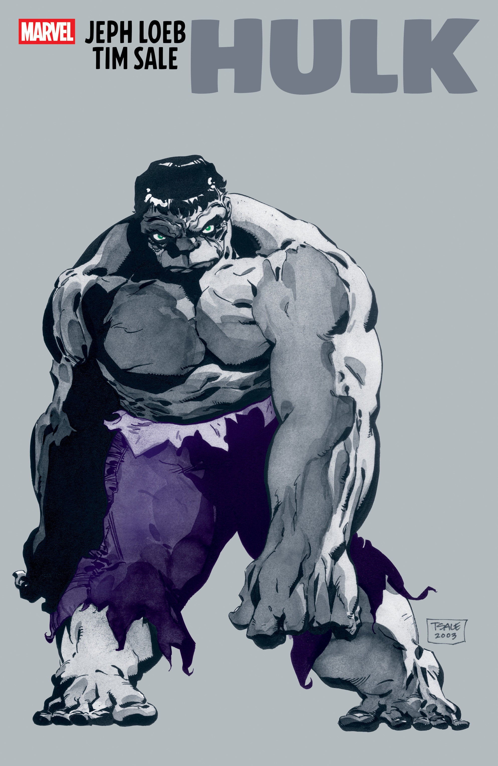 Jeph Loeb & Tim Sale: Hulk | Odin's Place