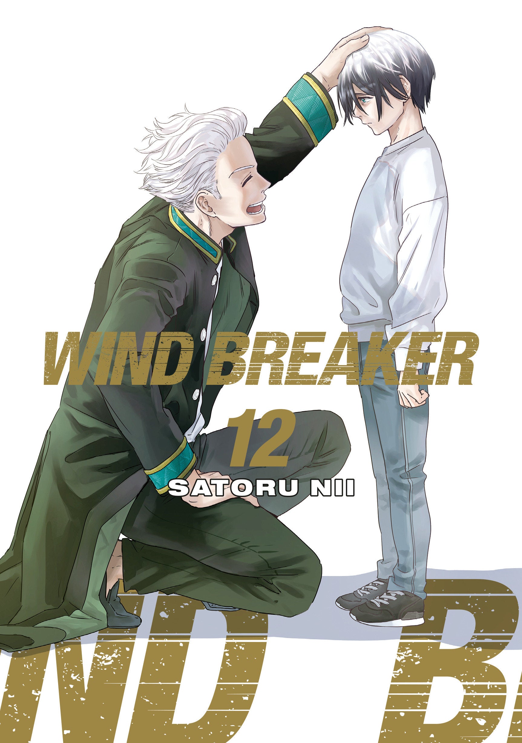 Wind Breaker Volume 12 | Odin's Place
