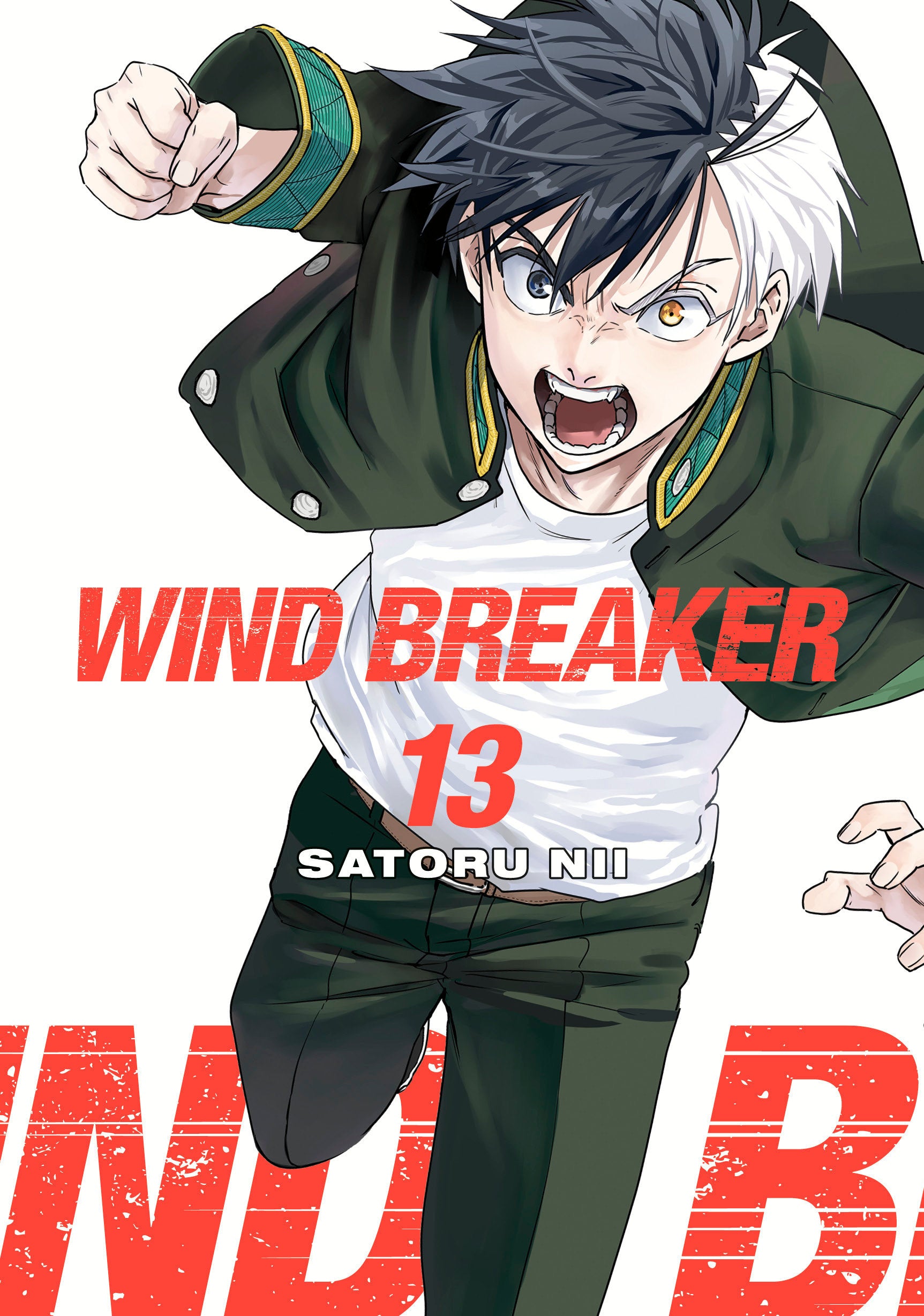 Wind Breaker 13 | Odin's Place