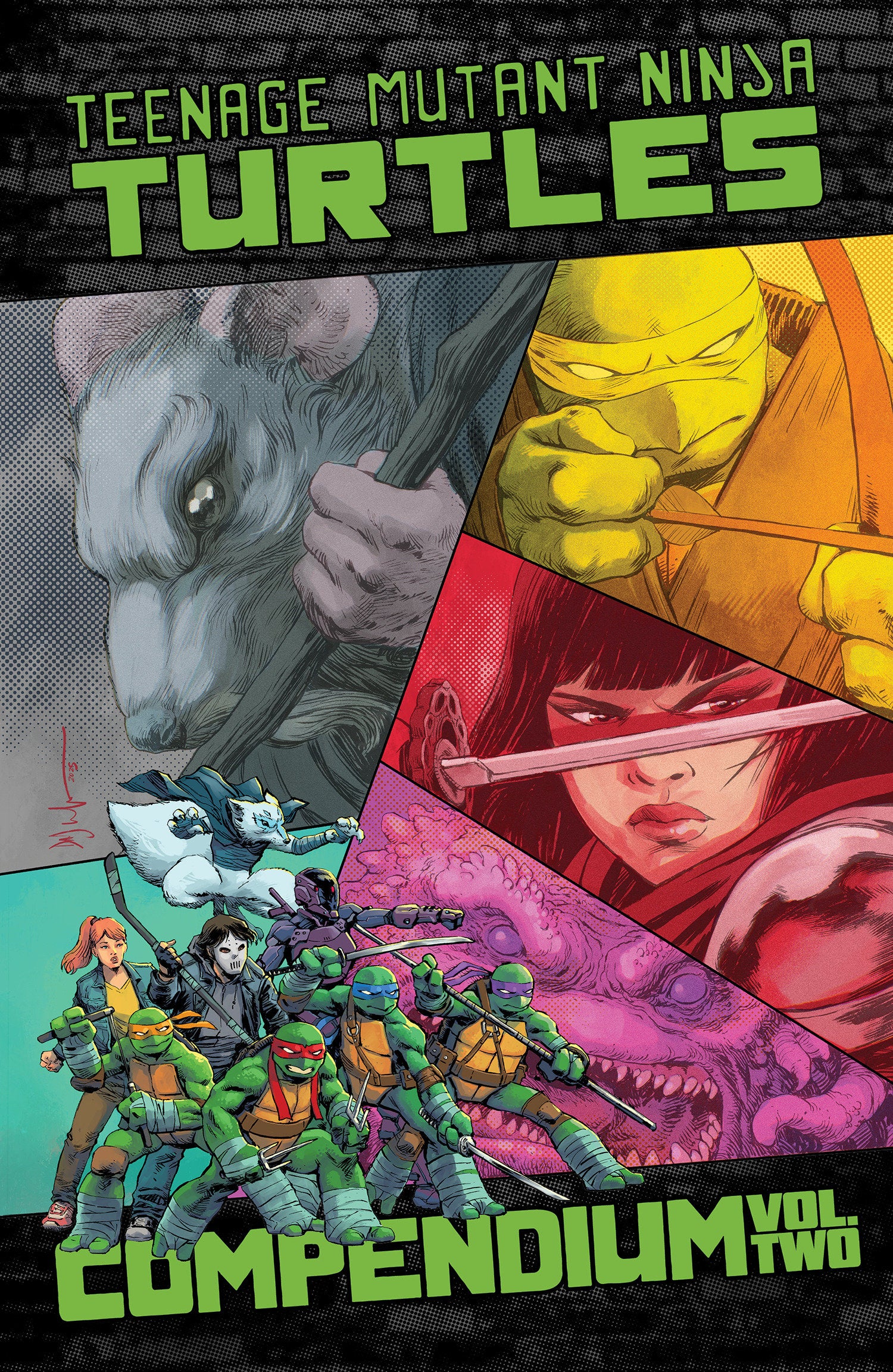 Teenage Mutant Ninja Turtles: Ongoing Compendium, Volume. 2 | Odin's Place