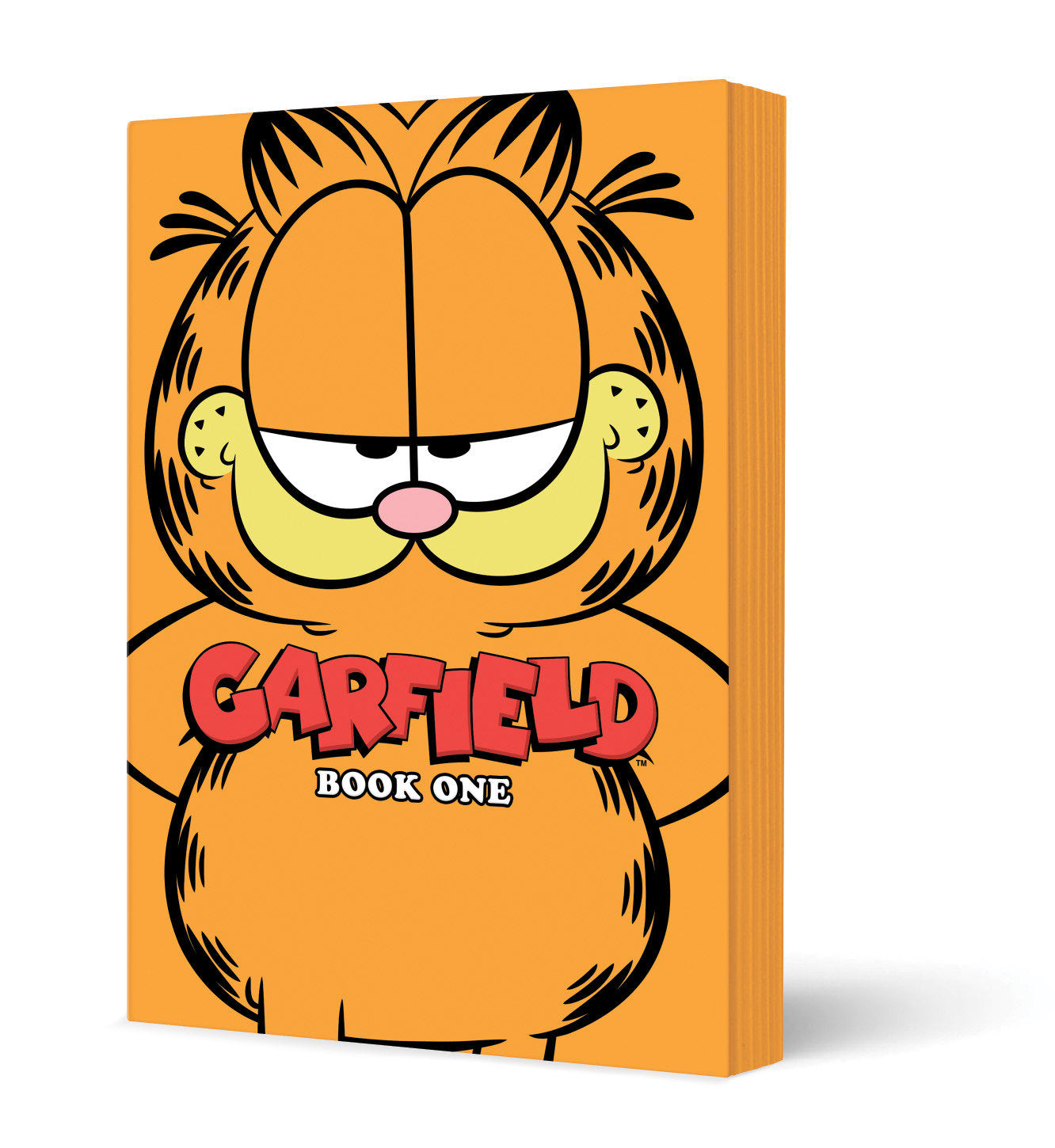 Garfield Book One | Odin's Place