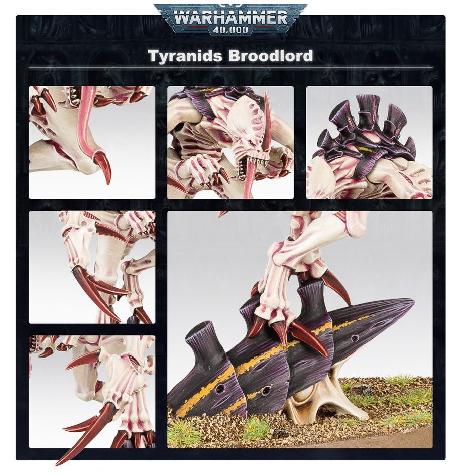 Warhammer 40K: Tyranid Broodlord | Odin's Place