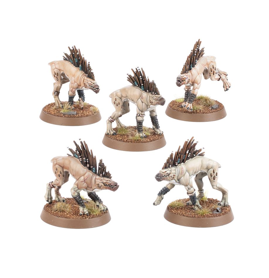 Warhammer 40k: Tau Kroot Hounds | Odin's Place