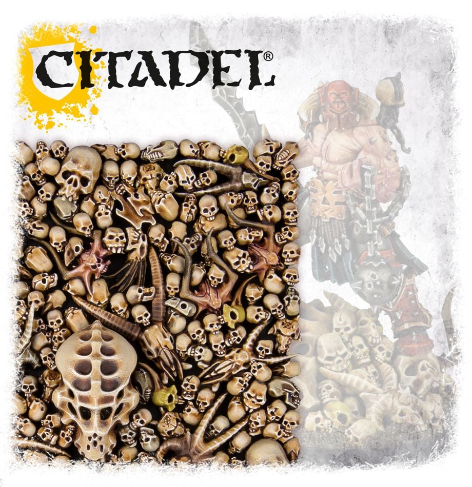 Citadel Skulls | Odin's Place