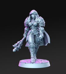 Dragon's Lair Printed Mini: Royal Guard 2 Set | Odin's Place