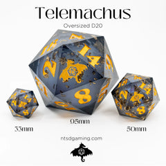 NTSD Gaming Oversize D20 Assorted Styles | Odin's Place