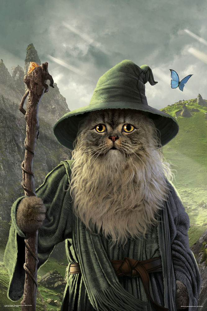 Poster: Catdalf | Odin's Place