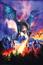 Poster: Dragon Fire | Odin's Place