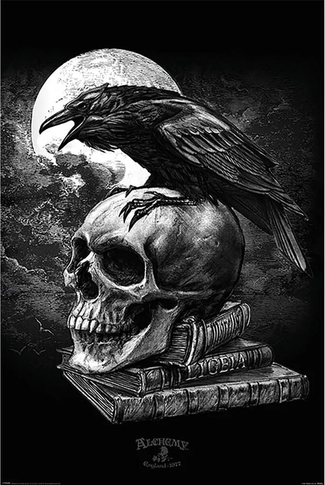 Poster: Poe's Raven | Odin's Place